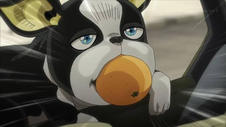 ジョジョの『イギー』犬種は何？人気の理由や正体を徹底調査！